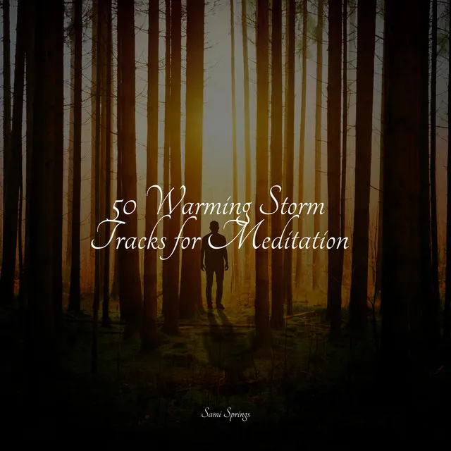 50 Warming Storm Tracks for Meditation