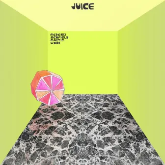 Juice by Medeski, Martin & Wood