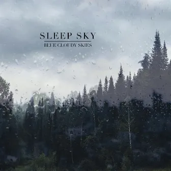 Sleep Sky by Blue Cloudy Skies