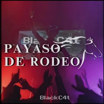 Payaso de Rodeo by Caballo Dorado