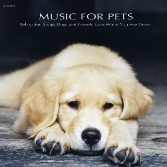 Music for Pets - Relaxation Songs Dogs and Friends Love While You Are Gone by Music for Pets Specialists