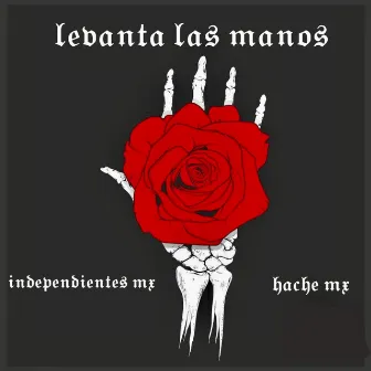 Levanta Las Manos by HACHE MX