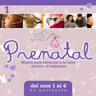 Prenatal, Vol. 1 / Música para Estimular a Tu Bebé Durante el Embarazo by Antonio Cortazzi