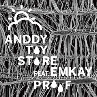 proof by anddy toy store