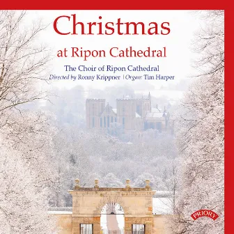 Christmas at Ripon Cathedral by 