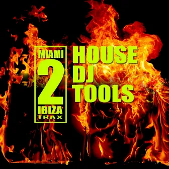 House DJ Tools by Sinsoneria Swing