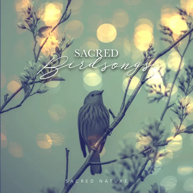 Sacred Birdsongs