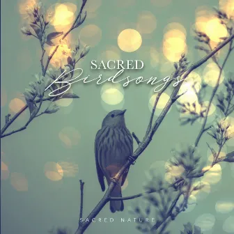 Sacred Birdsongs by Sacred Nature