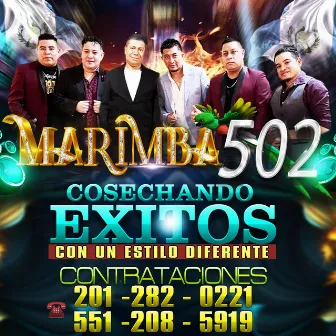 Cosechando Exitos by Marimba 502