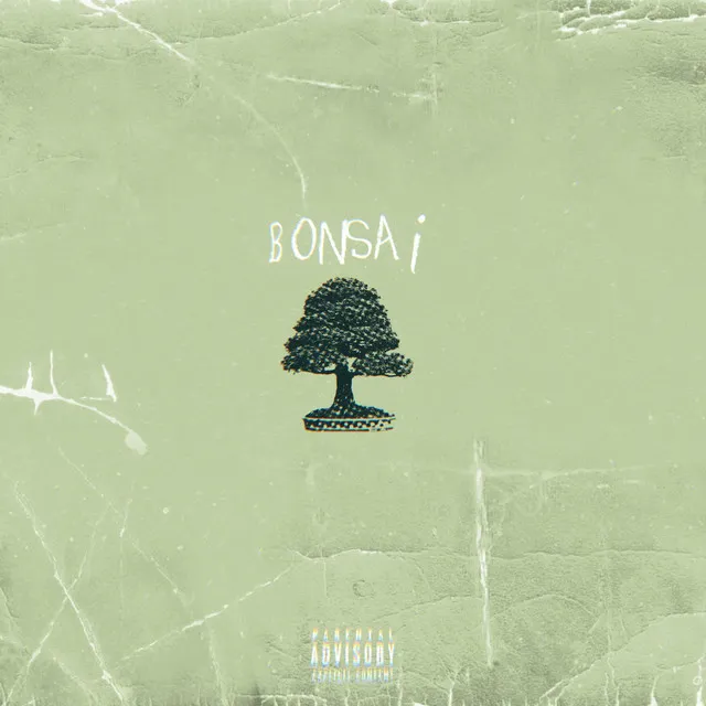 Bonsai