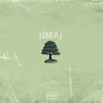 Bonsai by Tuan