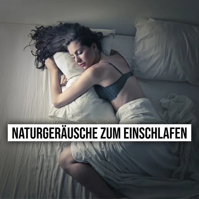 Naturgeräusche zum Einschlafen: Musik, Die Ihnen Beim Schlafen Hilft und Ihnen Hilft, Die Ganze Nacht Über Gut Zu Schlafen