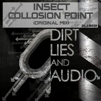 Collision Point by Insect