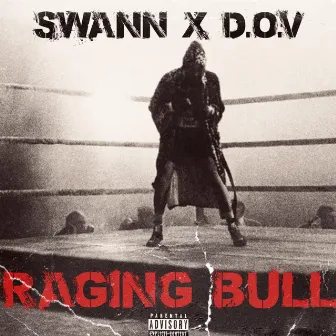 Raging Bull by Swann