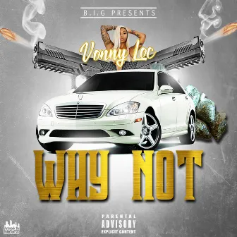 Why Not by Vonny Loc