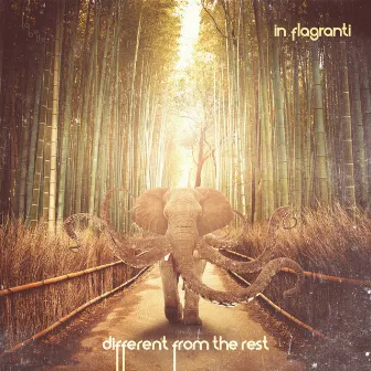 Different from the Rest - EP by In Flagranti