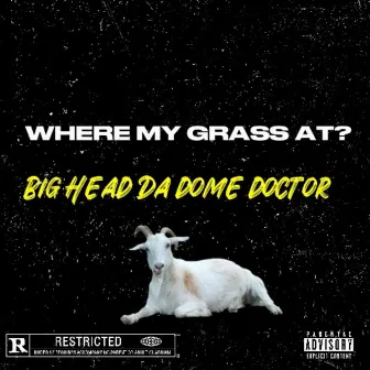 Where my grass at? by Big Head da Dome Doctor