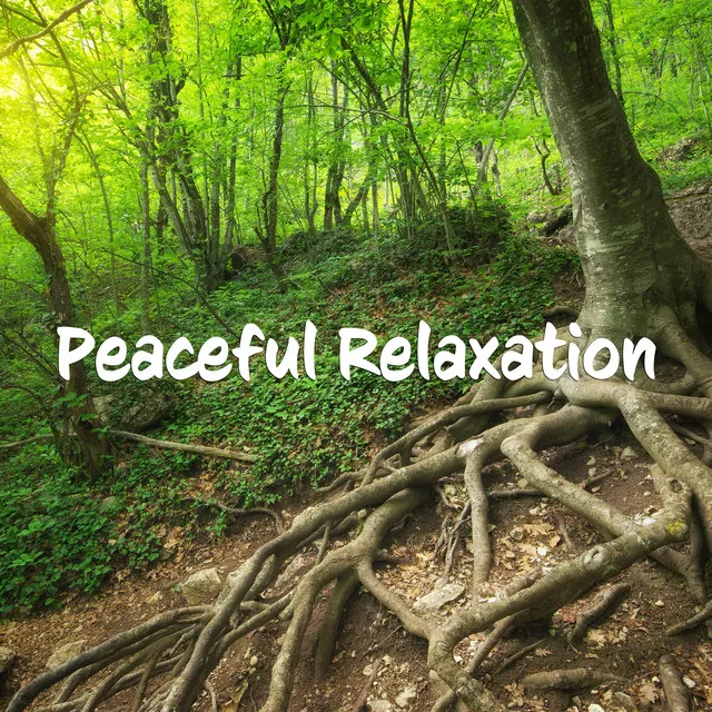 Soothing Piano Music For Stress Relief, Peaceful Relaxation