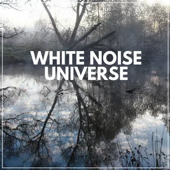 White Noise Universe by White Noise