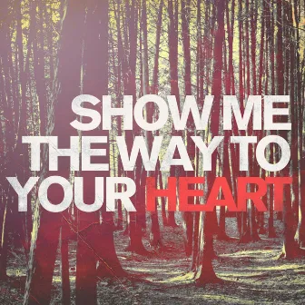 Show Me the Way to Your Heart by Brian Doerksen