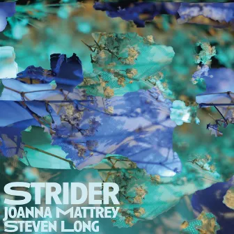 Strider by Joanna Mattrey