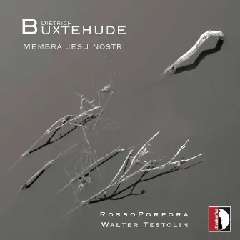 Buxtehude: Membra Jesu nostri, BuxWV 75 by Walter Testolin