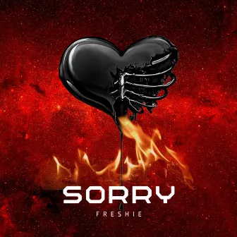 Sorry by Freshie