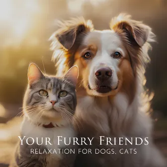 Your Furry Friends – Relaxation for Dogs, Cats, Nature Harmony for Stress Relief and Complete Comfort, Pets Zone by Cat Music!