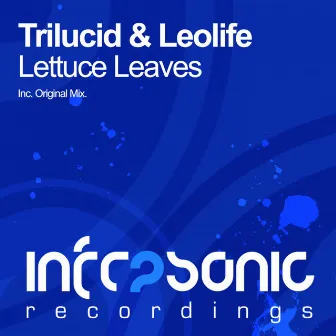 Lettuce Leaves by Leolife