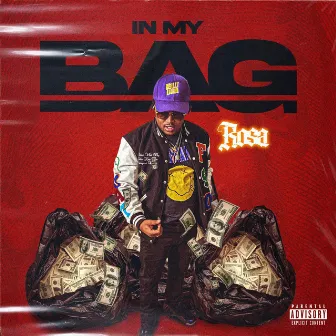 In My Bag by Rosa Jones