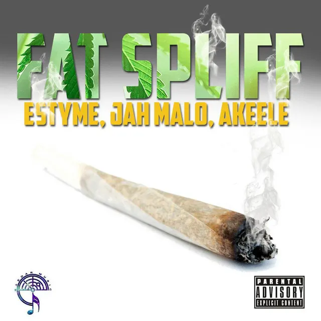 Fat Spliff