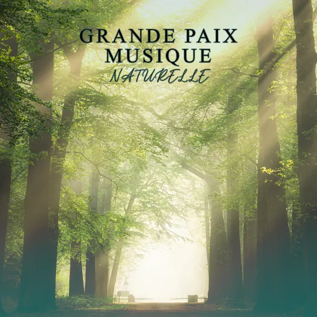 Grande paix (Musique pour trouver votre liberté, Silence intérieur, Thérapie naturelle)