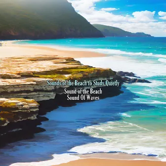 Sounds of the Beach to Study Quietly by Sound Of Waves