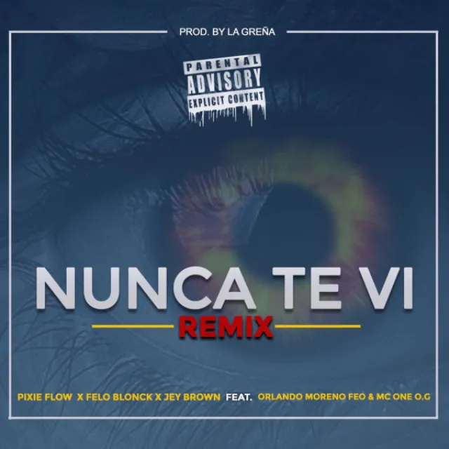 Nunca Te Vi - Remix