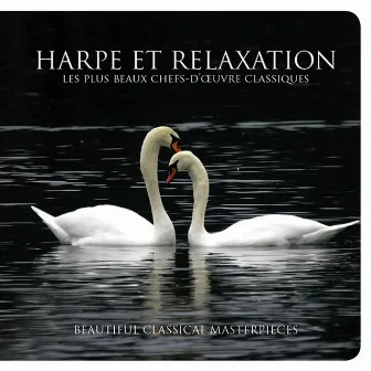 Harpe Et Relaxation by Patricia Spero