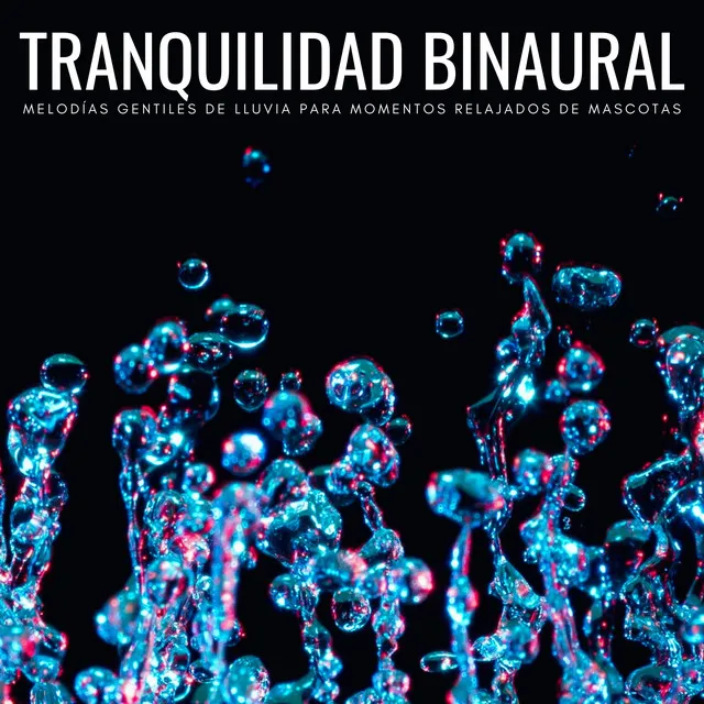 Tranquilidad Binaural: Melodías Gentiles De Lluvia Para Momentos Relajados De Mascotas