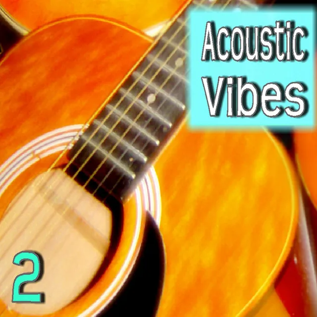 Acoustic Vibes, Vol. 2