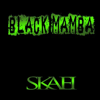 Black Mamba by Skaei