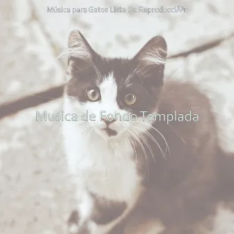 Musica de Fondo Templada by Música para Gatos Lista De Reproducción