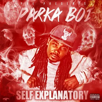 Self Explanatory by Parka Boi