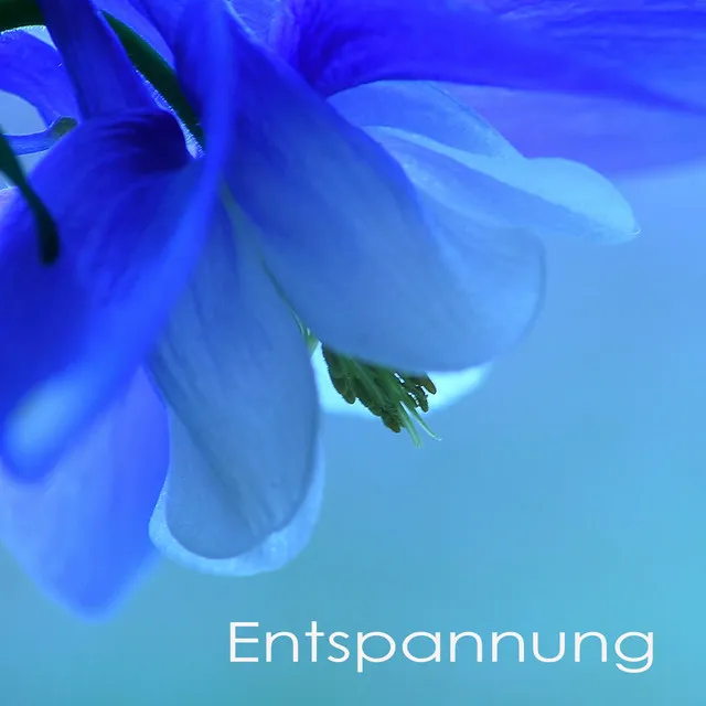 Entspannung Natur Phantasiereise