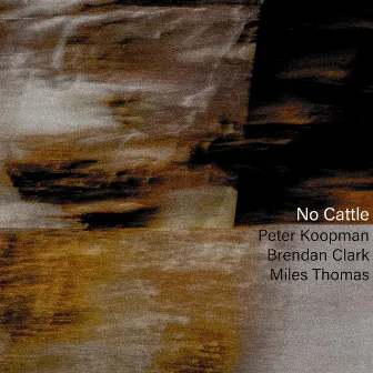 No Cattle by Miles Thomas