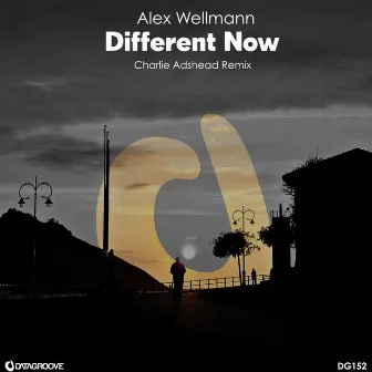 Different Now by Alex Wellmann