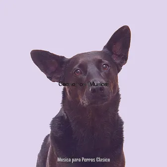 Cachorros (Musica) by Música para Perros Clásico