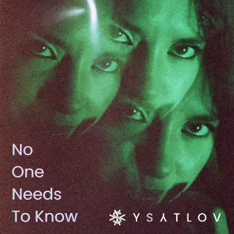 No One Needs to Know by Ys Atlov