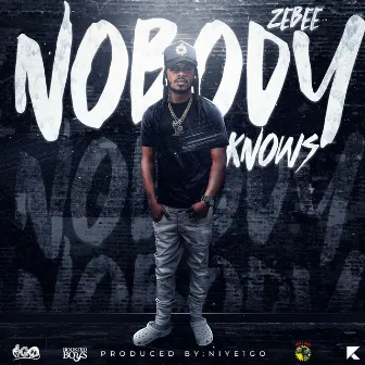 Nobody Knows by Zebee