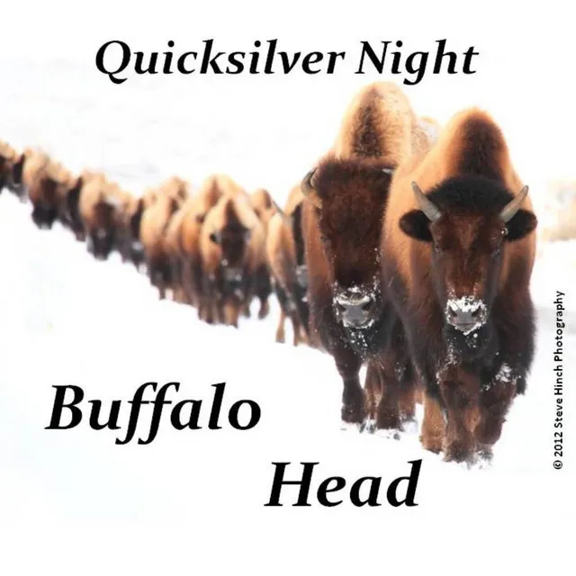 Buffalo Head