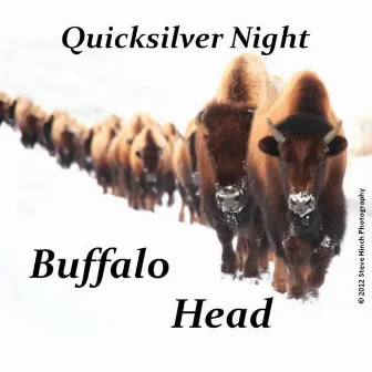 Buffalo Head by Quicksilver Night