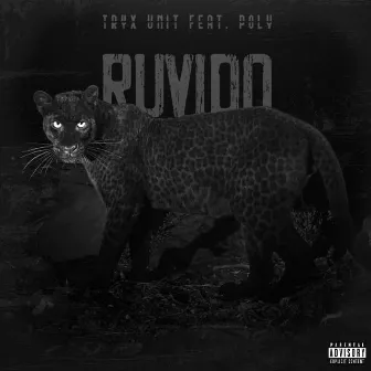 RUVIDO by Tryx Unit