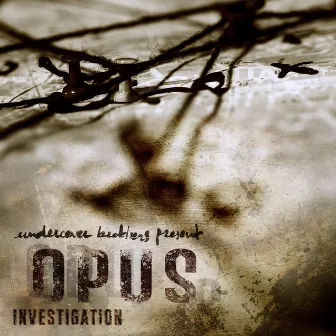 Opus Investigation by Corben Wallace